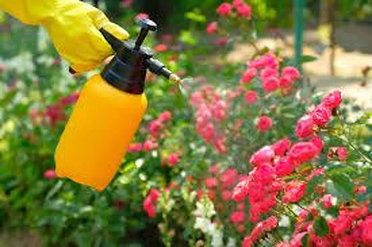 Iran’s Islamic Azad University Researchers Develop New Organic Insecticide