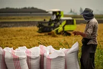 وابستگی ۱۲ میلیارد دلاری به واردات در کشاورزی؛ چگونه پدافند غیر عامل را به مزرعه‌ها بیاوریم