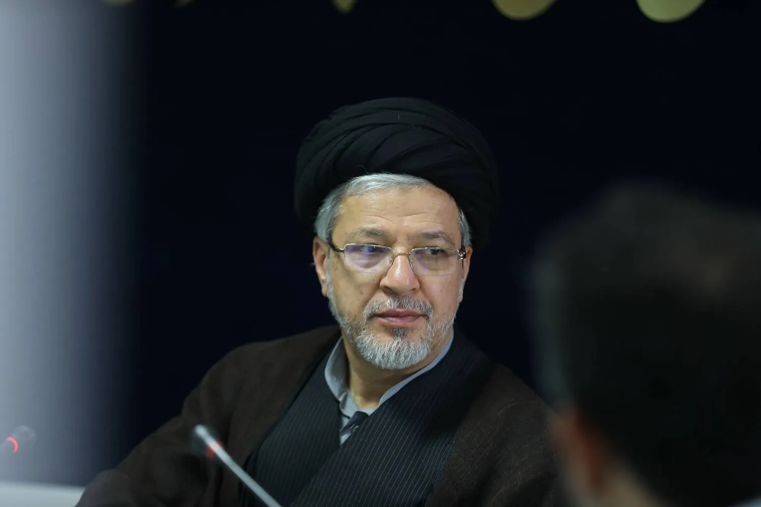 سعیدرضا عاملی