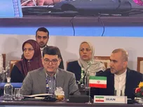 تأکید ایران بر گسترش همکاری‌های صنعتی پروژه‌محور با اعضای بریکس
