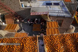 خُرو؛ پایتخت آلوی ایران