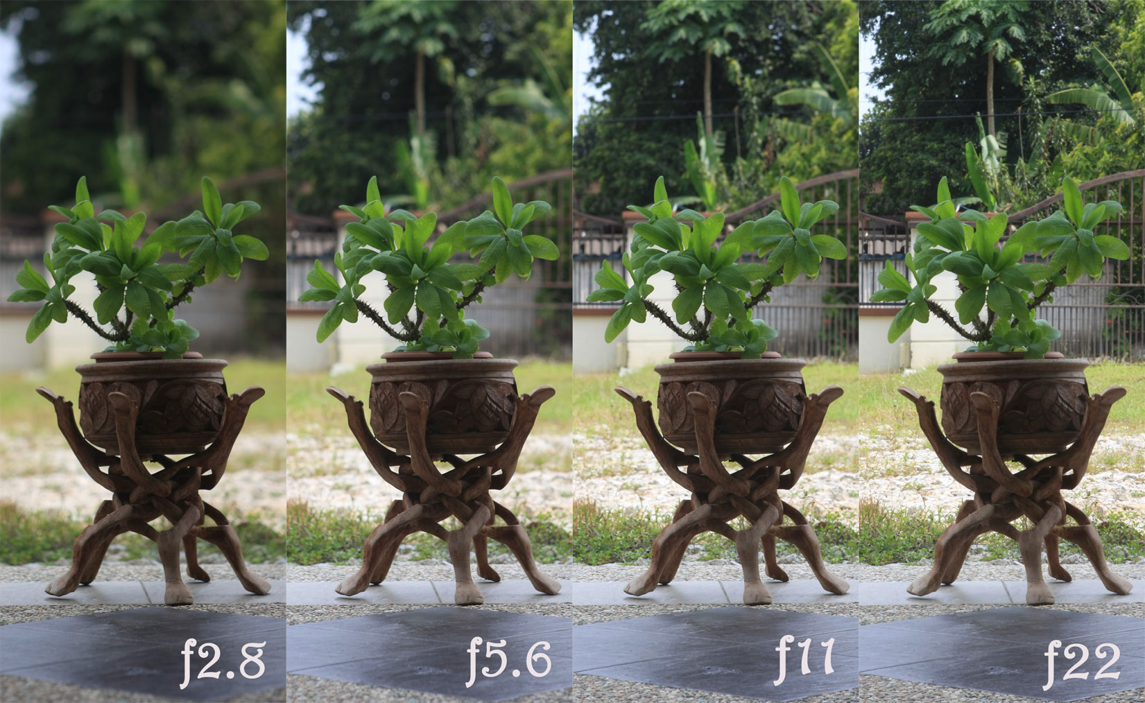 اعداد مرموز f در مشخصات دوربین گوشی کیفیت عکس‌هایتان را تعیین می‌کنند