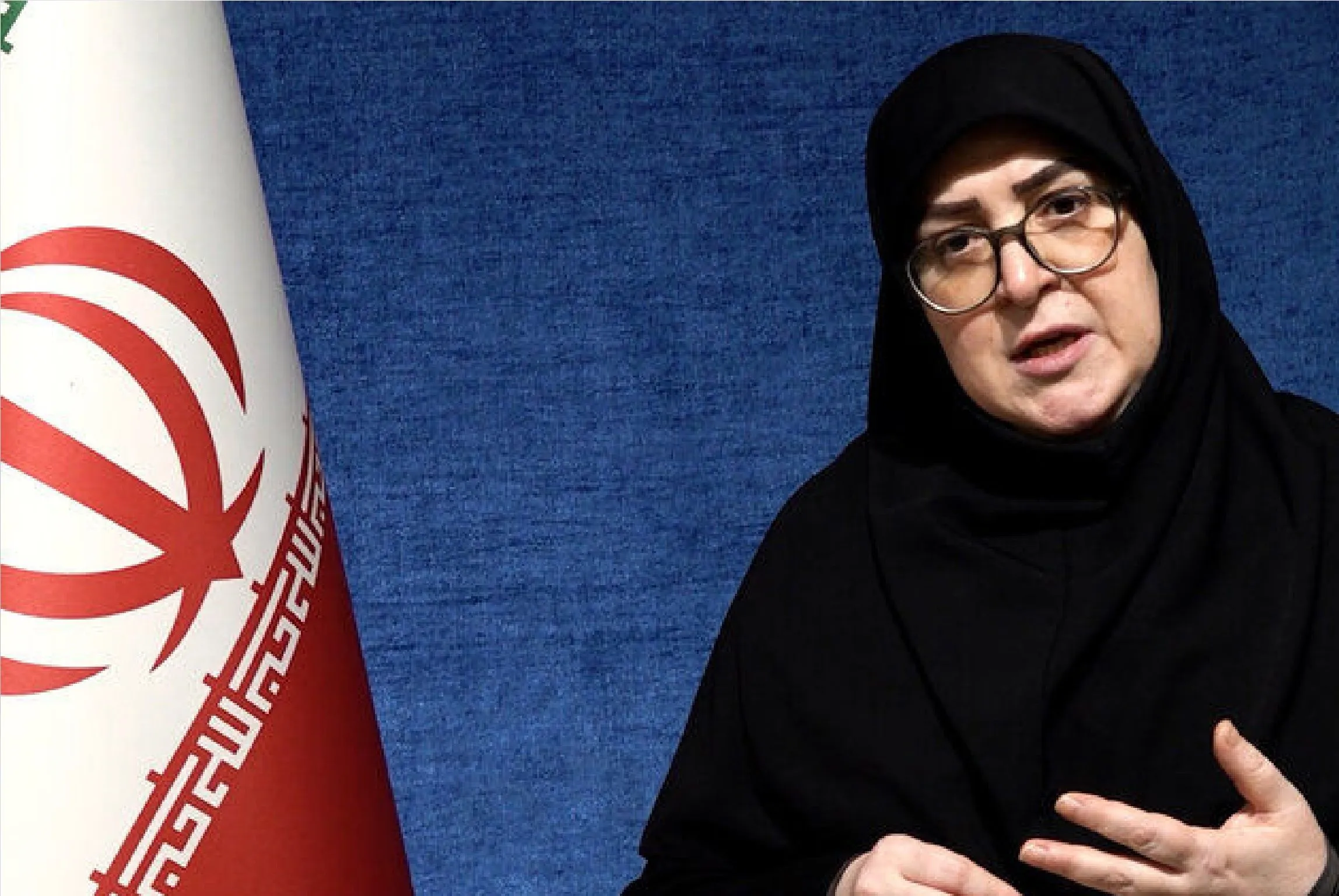 سخنگوی دولت