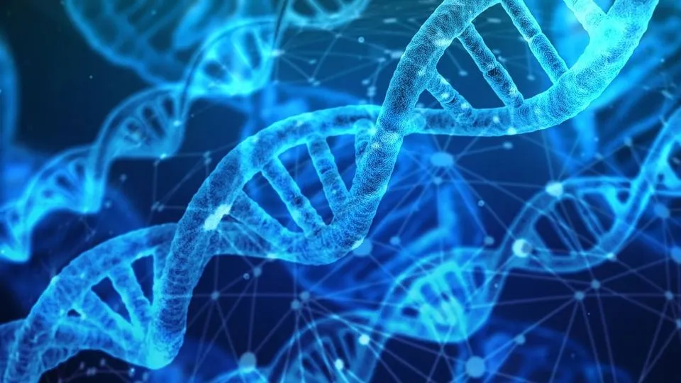 DNA