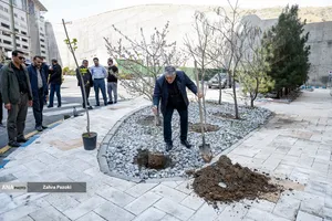 کاشت نهال امید