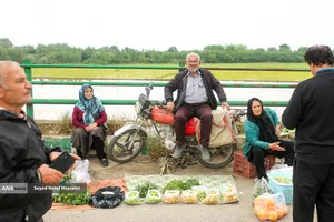 جمعه&zwnj; بازار &laquo;جویبار&raquo;
