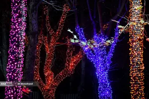 جشنواره نور در یلدای ایرانی