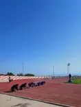 مسابقات دوومیدانی دانشجویان دختر دانشگاه آزاد 2