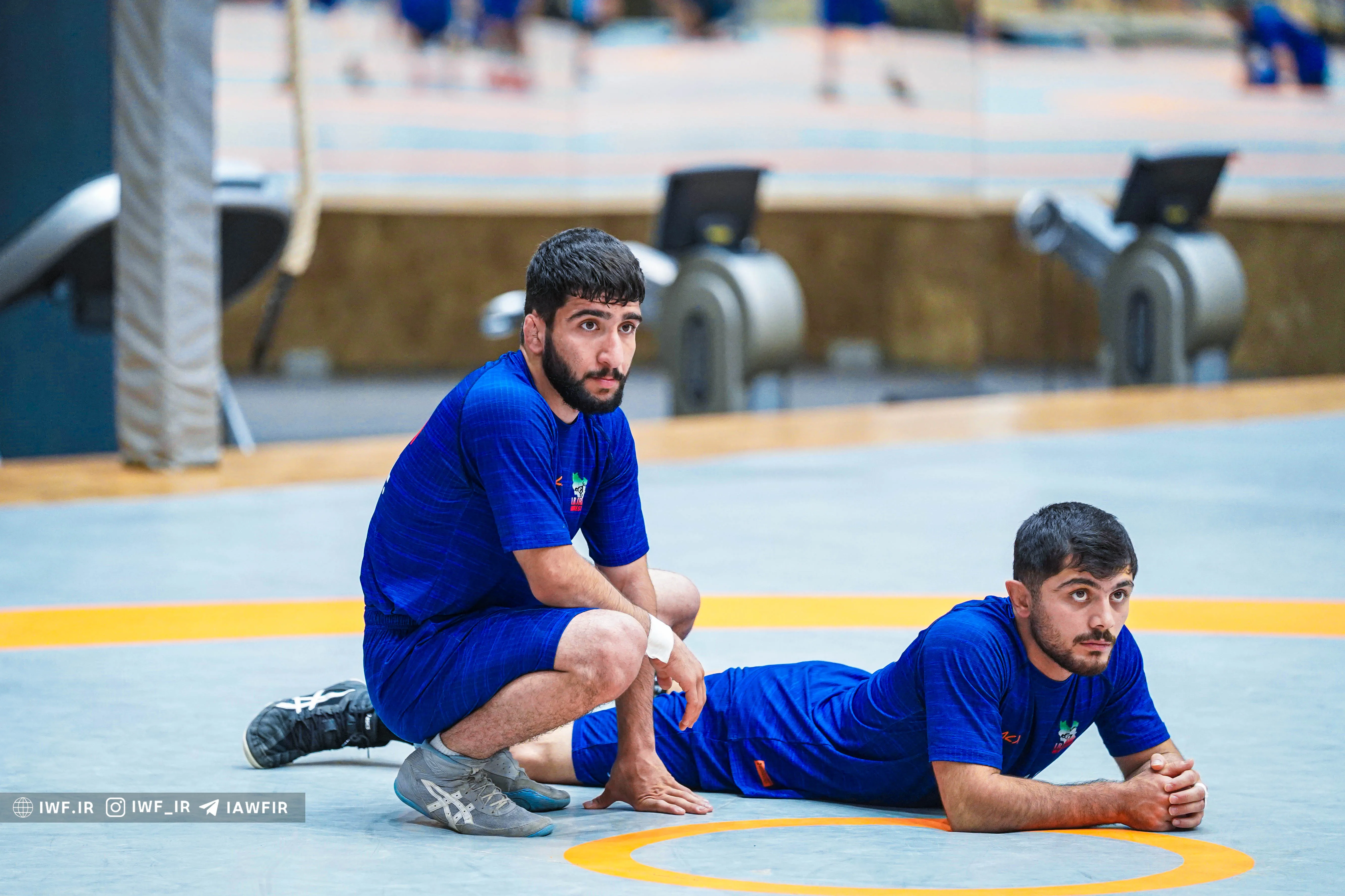 پیام احمدی