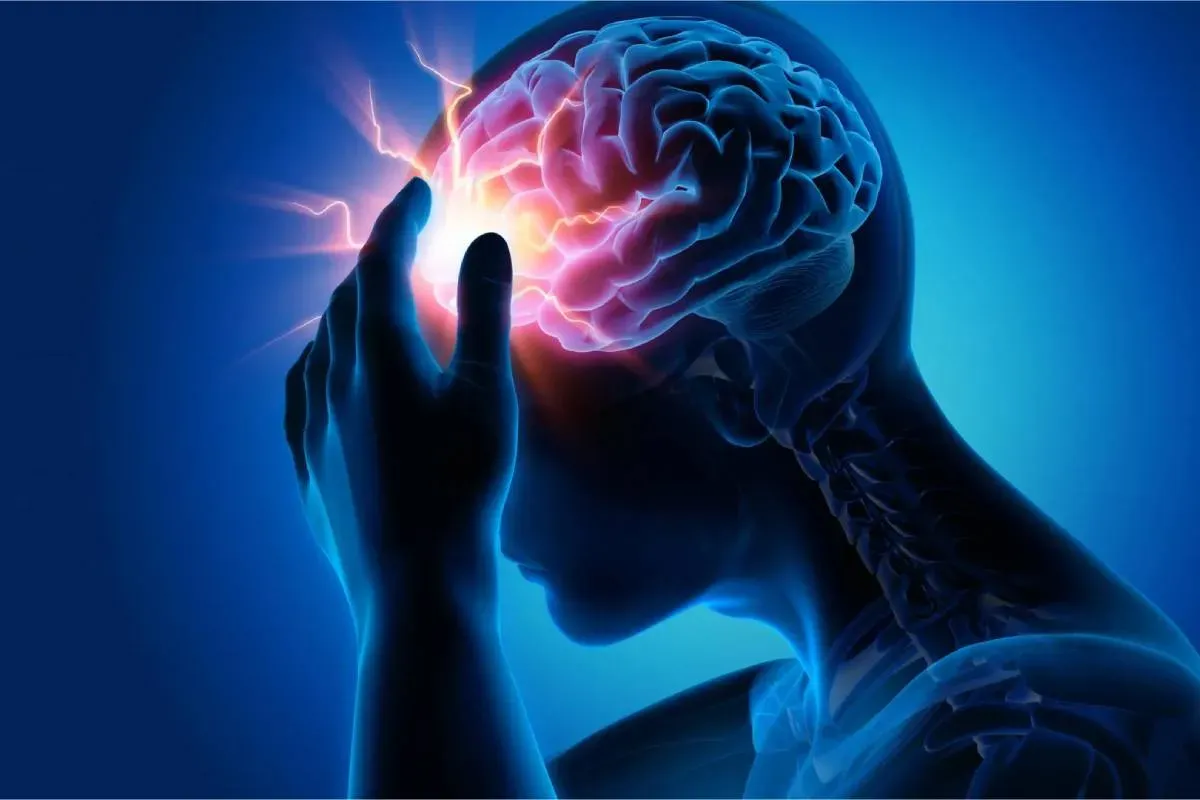 مغز