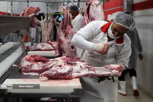 آغاز واردات ریلی مواد اولیه داروی دامپزشکی از چین 