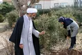 روز درختکاری در واحد اردبیل