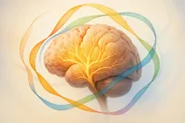 صحبت‌کردن به چند زبان، سپری در برابر پیری مغز