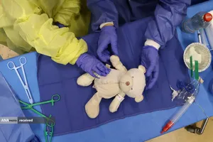 کلینیک خرس عروسکی برای آموزش جراحی ،بلژیک