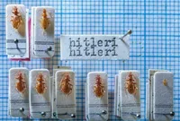 تلاش برای تغییر اسم حشره‌ای به نام «هیتلر» به بن‌بست رسید