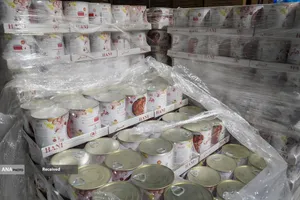 بازدید رئیس ستاد فرمان اجرائی امام(ره) از خدمت رسانی موکب داران اربعین حسینی مرز مهران