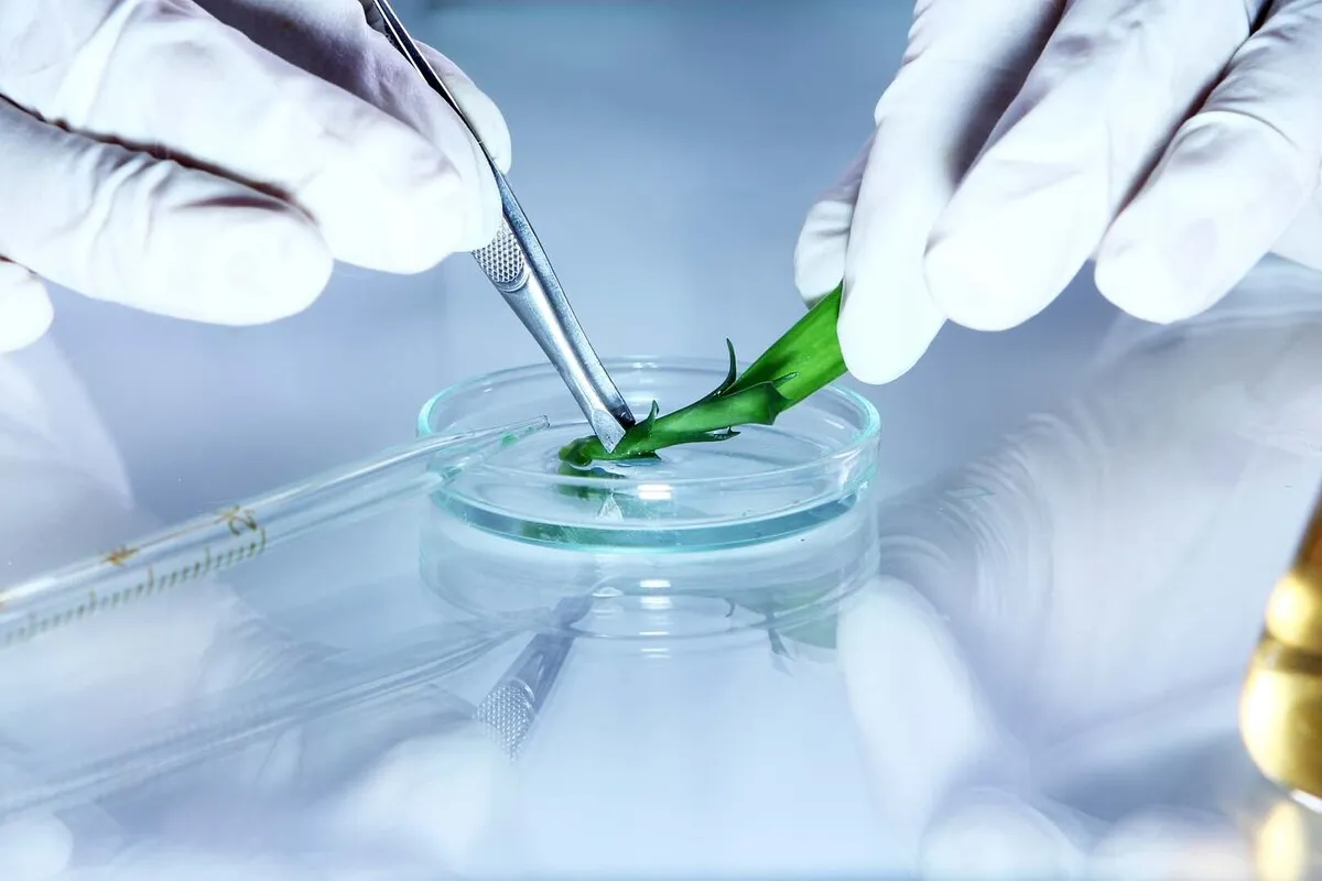 Official: Biotechnology Helps Reduction of 1.8 Billion Dollars in Imports of Biomedicine to Iran