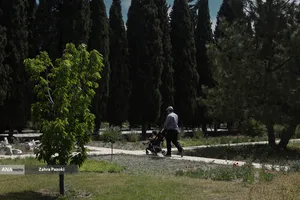 باغ گیاهشناسی ایران