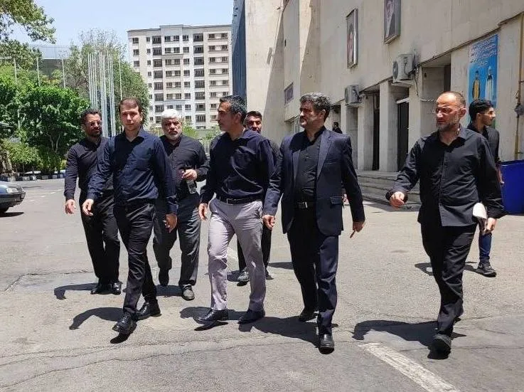 بازدید