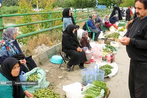 جمعه&zwnj; بازار &laquo;جویبار&raquo;