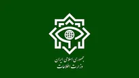 وزارت اطلاعات از انهدام ۴ شبکه خرابکاری خیابانی خبرداد