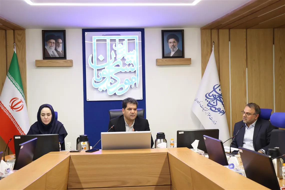  دانشگاه