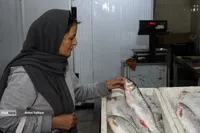 بازار پر رونق ایران سرافراز در روزهای جنگ