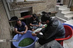  نوجوانانِ جبهه&zwnj; پشت خط