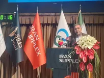 صنعت مکمل ایران از بسیاری از کشورهای منطقه جلوتر است/ تأکید بر توسعه پژوهش و مصرف منطقی