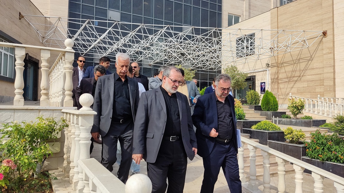 بازدید