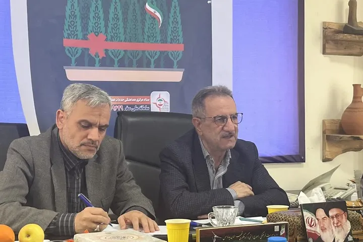 معاون  گردشگری
