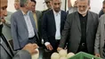 بازدید