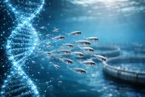 شرکت دانش‌بنیان ایرانی هرمون‌های موردنیاز در تکثیر ماهی‌ها را بومی‌سازی کرد