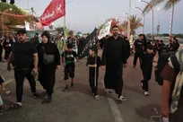 پیاده روی زائرین اربعین حسینی در مسیر نجف به کربلا