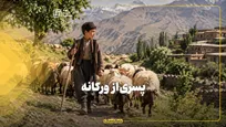 پسری از ورکانه