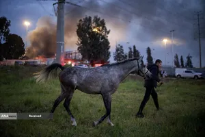 در پی حمله موشکی ایران در مرکز اسرائیل، مردی اسب خود را در نزدیکی محل برخورد تخلیه می کند