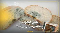 با نان کپک‌زده چه بلایی سرتان می‌آید؟