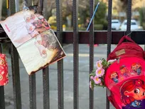 فضاسازی سردر دانشگاه تهران به یاد ۱۶۵ شهید دانش‌آموز ابتدایی شهر میناب