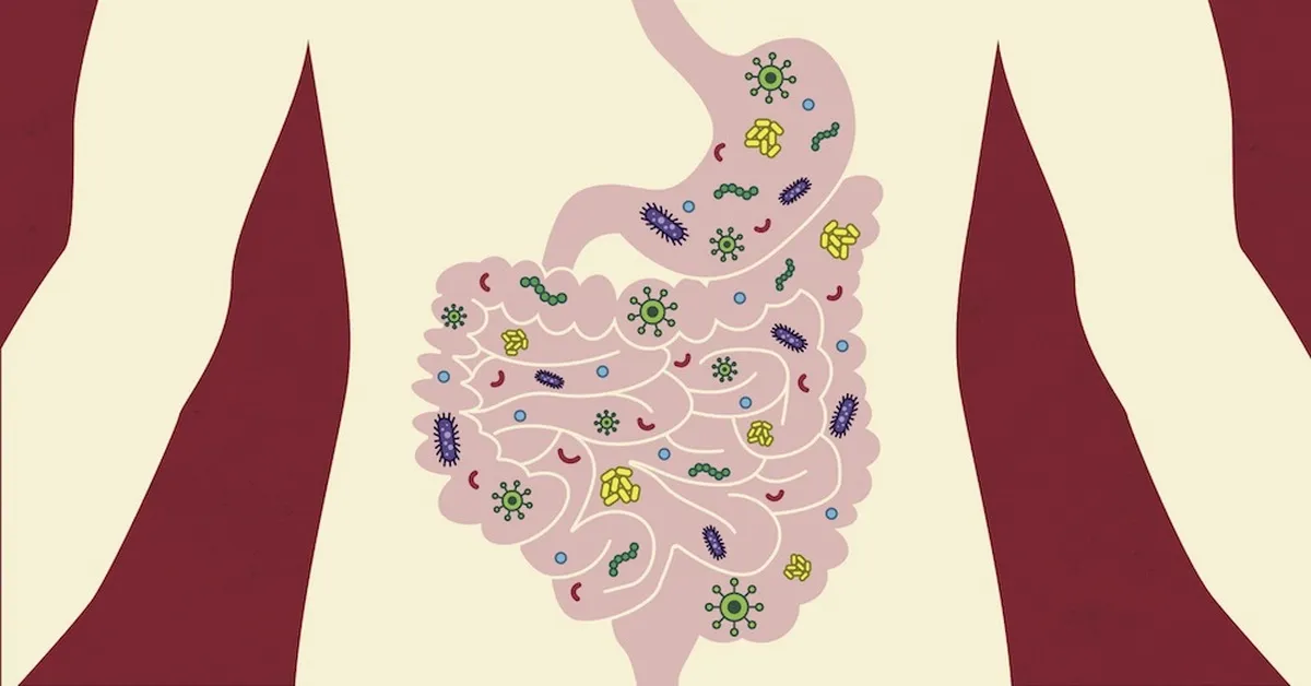 How Gut Holds Keys to Revolutionary Treatments