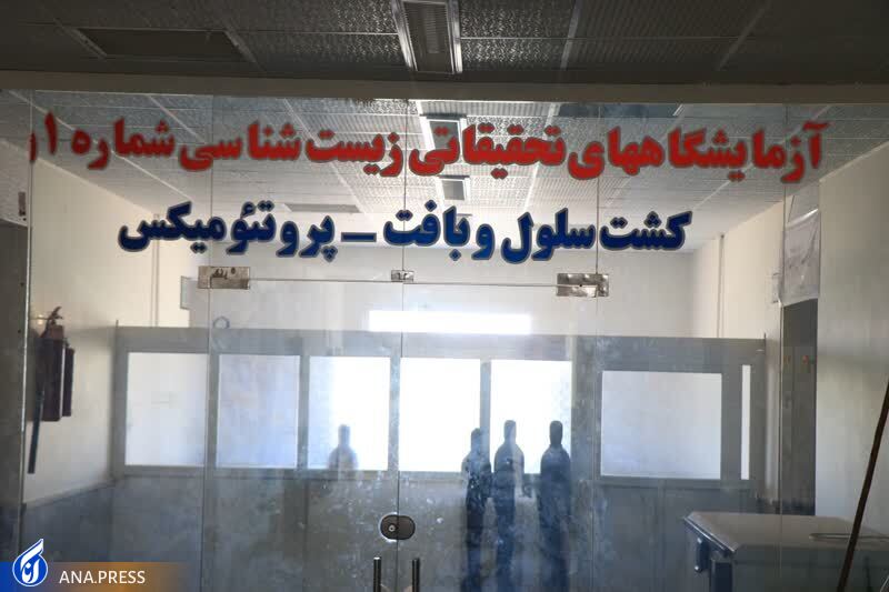 دانشگاه آزاد اشکذر