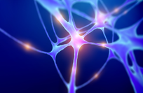 Brain molecule may lead to new sleep treatments