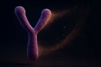 تحول ژنتیکی، سرنوشت کروموزوم Y را تهدید می‌کند