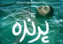 «پرنده»؛ واقعیتی عریان از تمدن پوشالی غربی