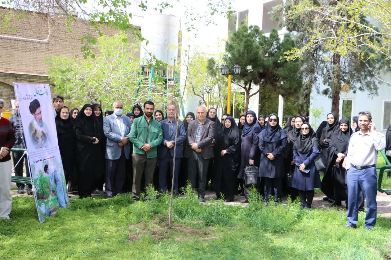 غرس نهال امید به همت معاونت فرهنگی دانشجویی دانشگاه آزاد اسلامی واحد علوم پزشکی مشهد