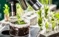 اخذ مجوز بهره‌برداری از کلینیک گیاه پزشکی دانشگاه آزاد یزد