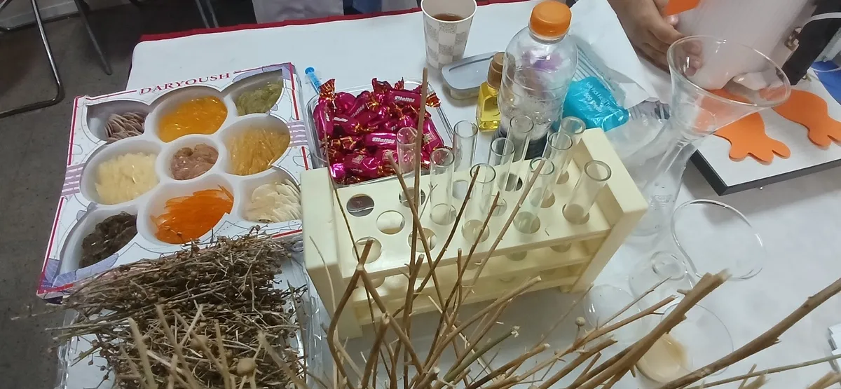 کاربرد جوشانده پماد سوختگی برای تنظیم مشکلات گوارشی