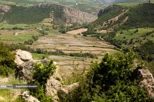 منطقه سرسبز و توریستی هزارجریب مازندران