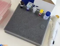 تولید کیت تشخیص تقلبات گوشتی