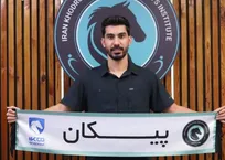شکاری به پیکان پیوست