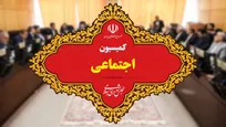 جزئیات نشست کمیسیون اجتماعی مجلس و دیوان محاسبات درباره نیرو‌های شرکتی